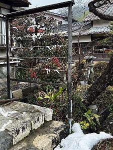 Nagoya - Excursion a Shirakawa via Takayama - 138